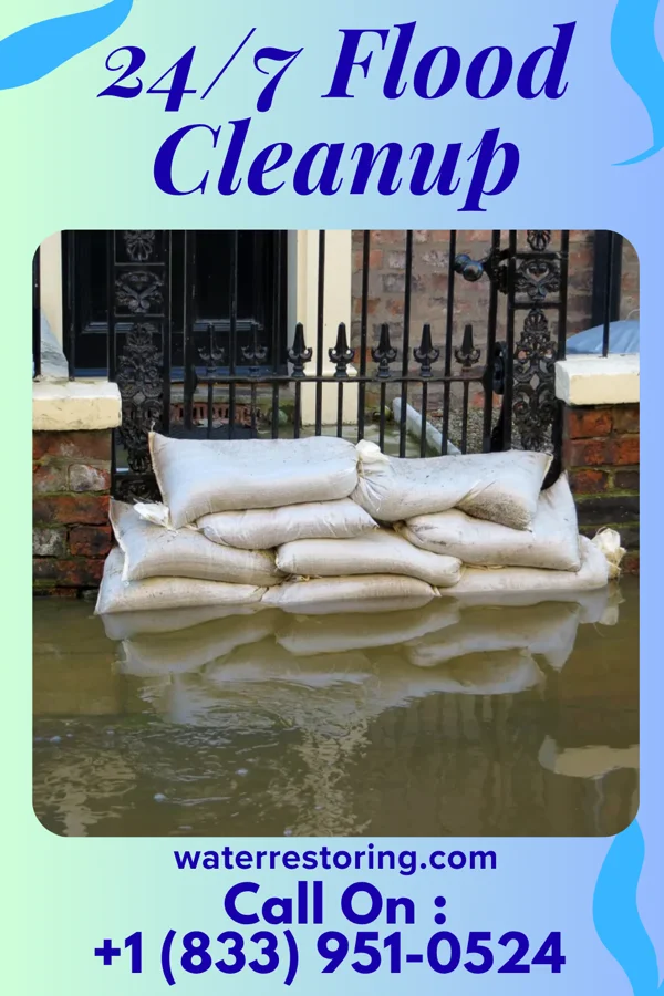 24/7 Flood Cleanup in Sachse, TX