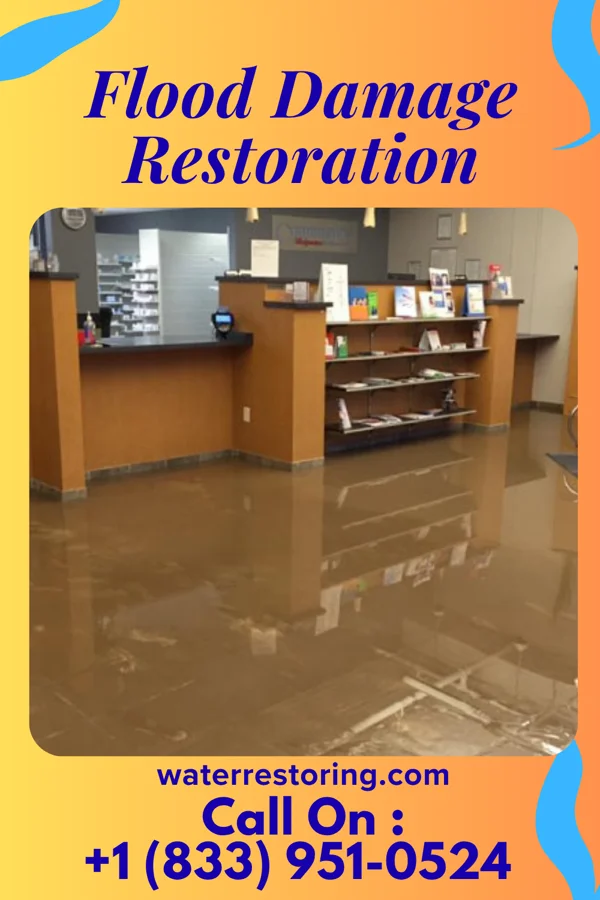 Flood Damage Restoration in Sachse, TX