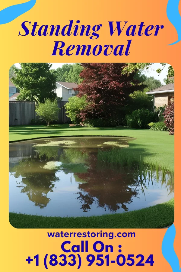 Standing Water Removal in Sachse, TX